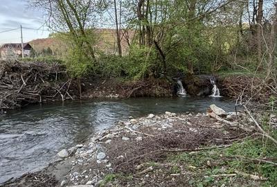 Teren de 5022 mp, în Măliniș - 6