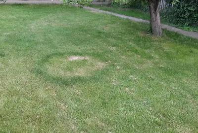 Casă cu 6 camere cu Teren 3000 Mp în Grădiștea - 7