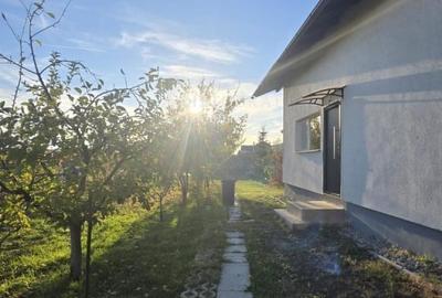 Casa 3 camere si curte cu pomi fructiferi - 11