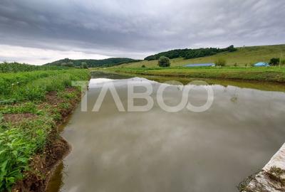 COMISION 0- Casa cu 4000 mp teren piscina zona retrasa Casolt - 8