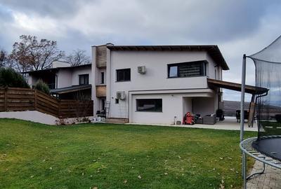 Duplex cu 4 camere cu Teren 690 Mp în Făget - 1