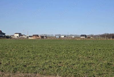 Teren de 400 mp, în Central