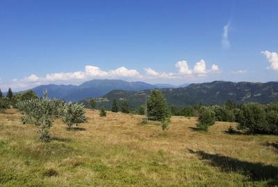 Teren de 470000 mp, în Moisei - 6