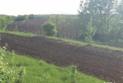 Casă cu 6 camere cu Teren 5000 Mp în Baldovinești - 2