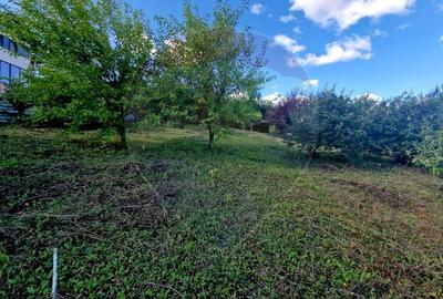 Teren 1,000mp Piatra-Neamt / Strada Pietrelor - 9