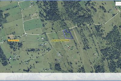 Teren de 2000 mp, în Șaru Dornei - 2