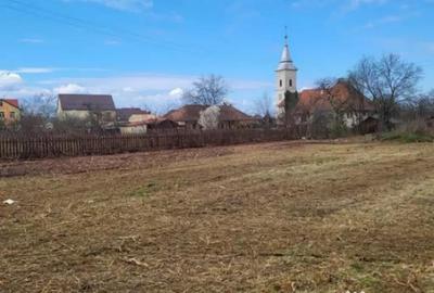 Teren în Tăuții-Măgherăuș - 2