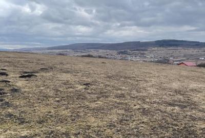 OPORTUNITATE DE INVESTITIE! Teren intravilan, 4000 mp, Chinteni - 2