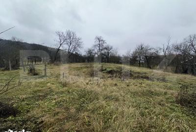 Casă cu 4 camere cu Teren 3000 Mp în Cășeiu - 3