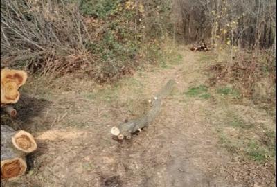 Vand teren intravilan livada - 2