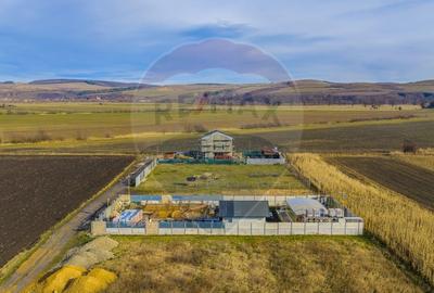 Teren intravilan 800mp Bod / Strada Iasomiei/ zona agrement Cismasu! - 7