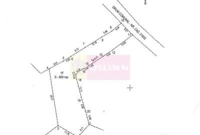 Teren în Lunca Mare - 6