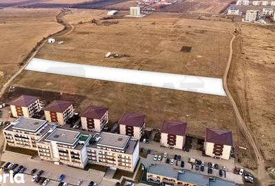 Teren de 8500 mp, în Turnișor - 2