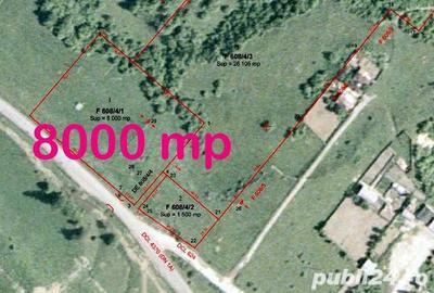 Teren de 8000 mp, în Central - 4