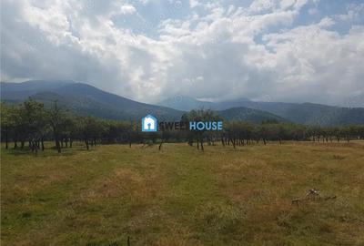 Teren de vanzare in Sambata de Sus - 4