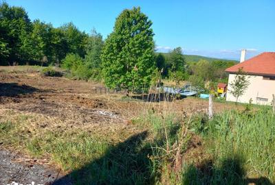 Teren de 1044 mp, în Făget - 3