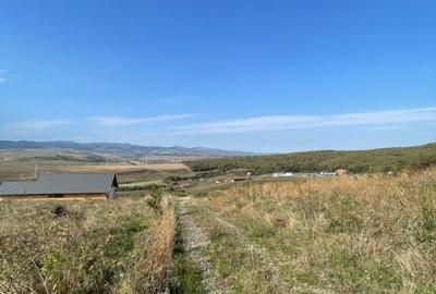 Teren de 2200 mp, în Ciurila - 2