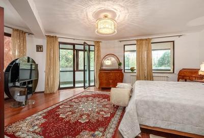 Vila mobilata utilata Iancu Nicolae - 12