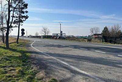 Teren Construcții intravilan de 5985 mp, în Nojorid - 13
