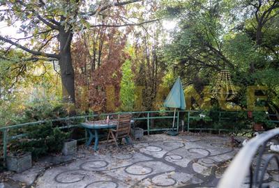 Proprietate Exclusivista cu Deschidere Spectaculoasa la Apa – Domeniu Privat cu - 20