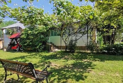 Vanzare Casa Valea Mare Pravat, Jud Arges - 2