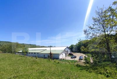 Spațiu comercial, de 3,000 mp, în Dej - 6