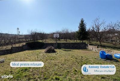Casă cu 4 camere cu Teren 5300 Mp în Central - 3