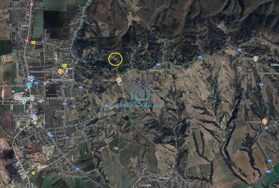 Prahova, orasul Boldesti-Scaeni, satul Seciu, teren 3007mp, d=36m - 3