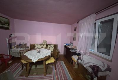 Casa de vanzare in Cionchesti , comuna Viile Satu Mare - 17