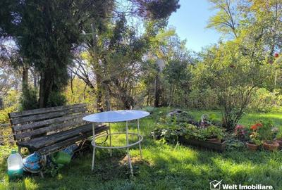 Casa veche, 3 camere, 978 m.p. teren, Grigorescu, locatie de vis - 10