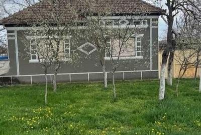 Casă cu 3 camere în Livada - 6