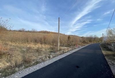 Teren de 904 mp, în Eșelnița - 4