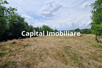 Teren Baia Sprie: 5143 mp, Parcelabil, Comision 0! - 4