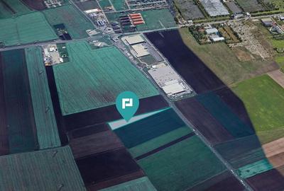 Teren 3500 mp extravilan agricol pe centura Arad - 4