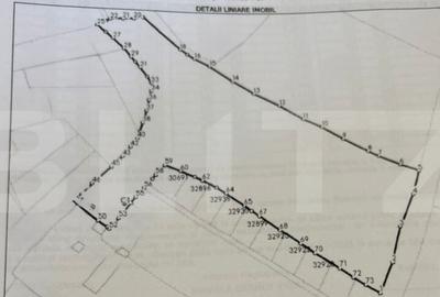 ????? Teren intravilan de vanzare 18.580 mp in Neagr - 1