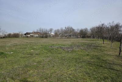 Casă cu 3 camere cu Teren 3600 Mp în Celaru - 3