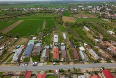 TANTAVA - GRADINARI, CASA 70 MP, LOT - 1557 MP! - 34