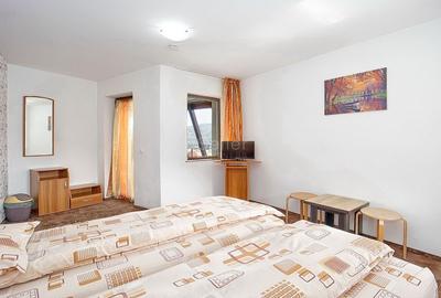 Pensiune Turistica Montana - 16