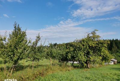 Teren de 7410 mp, în Cornu Luncii - 11
