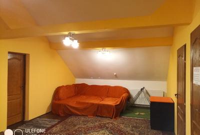 Casă de vacanță în Pojorâta - 2