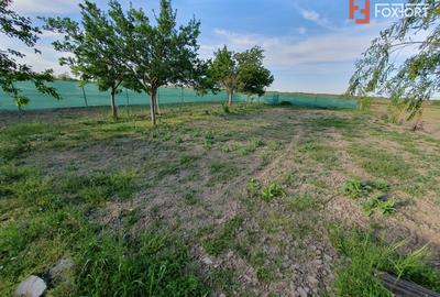 Casă individuală cu 5 camere cu Teren 1439 Mp în Rudna - 22