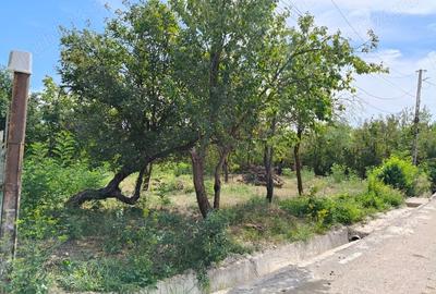 Teren de 2440 mp, în Podenii Vechi - 6