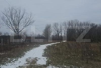 Spațiu comercial, în Priseaca - 1