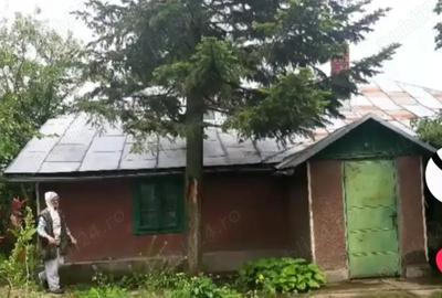 Casă cu 6 camere cu Teren 3365 Mp în Constantin Brâncoveanu - 8