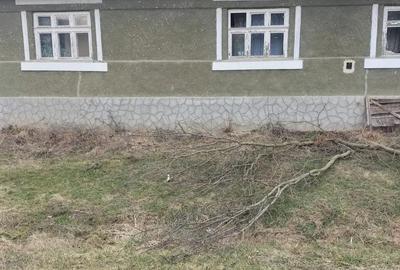 Casă cu 2 camere în Diviciorii Mari - 4