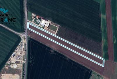 Teren de 28000 mp, în Vladimirescu - 3