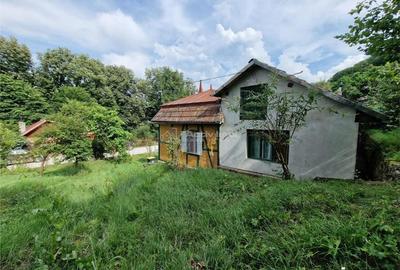 Bocsa, Casa Cocheta de Vacanta cu Teren. - 15