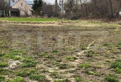 Casa individuala + Teren 4600 mp- Siret - 3