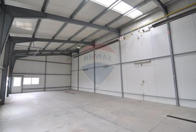 Spațiu industrial, de 248 mp, în Goranu - 1