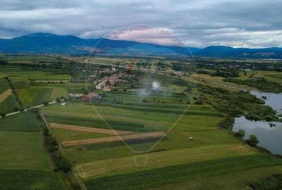 Teren superb Unciuc / jud.Hunedoara - 9